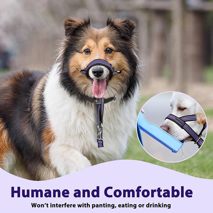 BARKLESS Soft Dog Head Collar, Patented Padded No Pull Head Halter, Training Nose Leash with Safety Link for Medium Large Dogs, Adjustable Muzzle Leash, Easy Control for Walking (XL, Purple) - Image 7