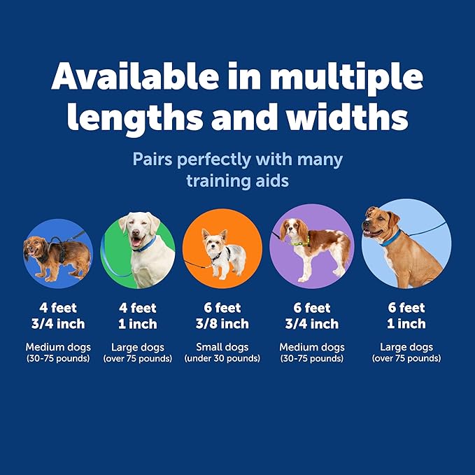 PetSafe Nylon Dog Leash - Strong, Durable, Traditional Style Leash with Easy to Use Bolt Snap - 3/4 in. x 4 ft., Black | Durable Nylon Leash with Easy on/off Bolt Snap Hook, Pairs Perfectly with Easy Walk Harness and Gentle Leader Headcollar - Image 5