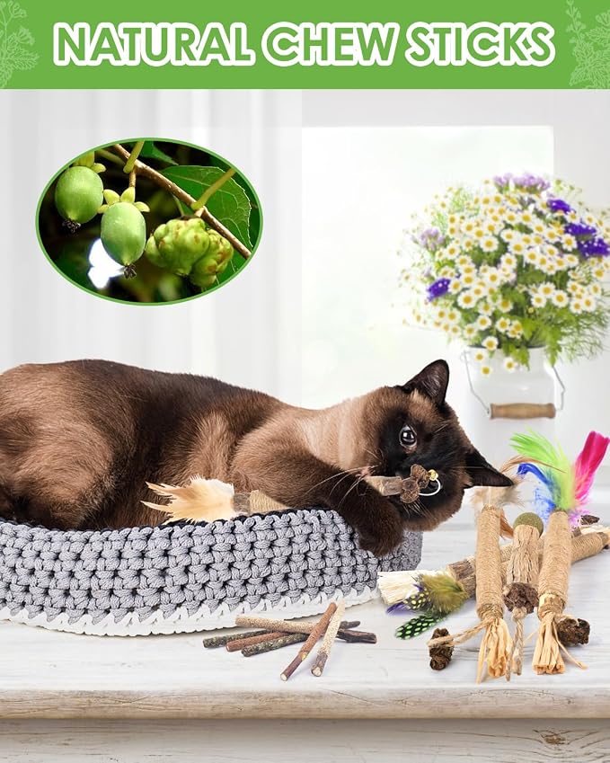 TINDTOP Silvervine Chew Sticks for Cats, 12 Pack Natural Catnip Chew Toys | for Kittens Teeth Cleaning, Matatabi Dental Care, Increase Appetite, Calm Cat Anxiety and Stress, Cat Dental Toy - Image 6