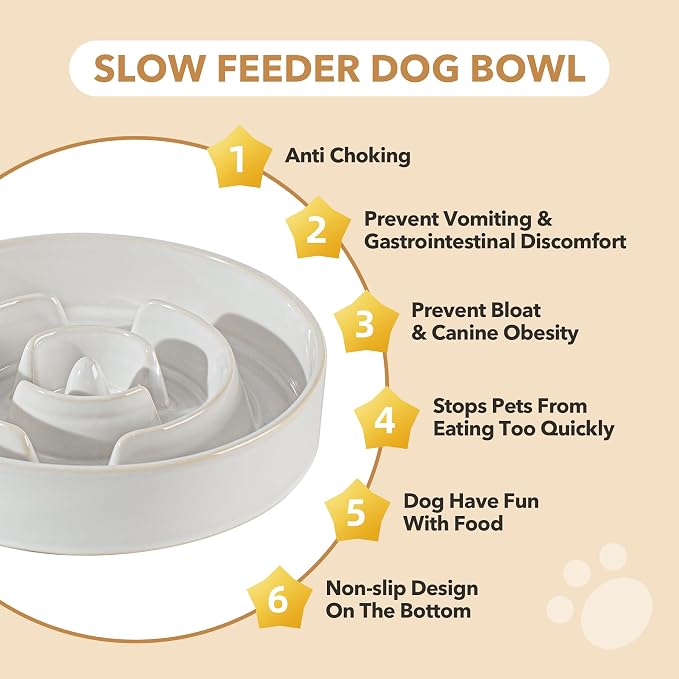 Havniva Raised Slow Feeder Dog Bowls, Elevated Dog Bowls Slow Feeder Set | 1.2 Cups Ceramic Dog Bowl Elevated with Acacia Wood Stand, Raised Dog Food Bowl, Puzzle Slow Feeder for Small Dogs, Non-Slip - Image 8