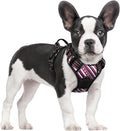 rabbitgoo Dog Harness, No Pull for Small Dogs with 2 Leash Clips, Pet Vest | No Choke with Handle, Adjustable Soft Padded, Reflective, Easy Control for Walking, Red Stripe, Small by rabbitgoo