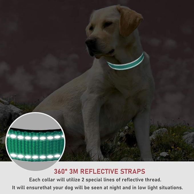Reflective Dog Collar, Puppy Collar with Buckle Adjustable, Green XL | Breathable Nylon Collars for Small Medium Large Dogs, No Chafing on Walks and Outdoor Hikes, Metal D-Ring, Night Safety - Image 4