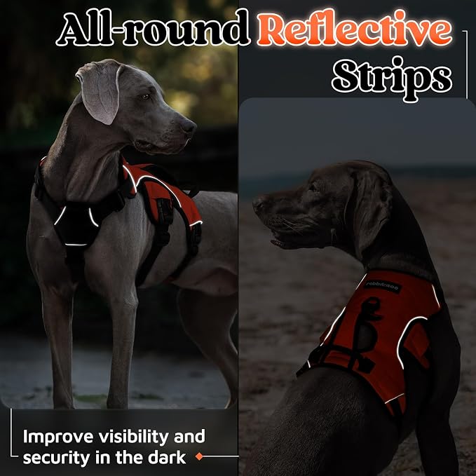 rabbitgoo Escape Proof Dog Harness for Medium, No Pull with Lift Handle | No Escape, Full Soft Padded, Reflective Adjustable Vest, Leash Clip for Walking Hiking Training, Orange, Medium - Image 8