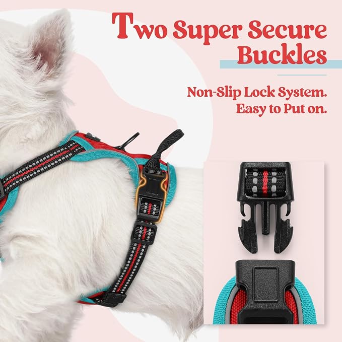 rabbitgoo Dog Harness, No Pull for Small Dogs with 2 Leash Clips, Pet Vest | No Choke with Handle, Adjustable Soft Padded, Reflective, Easy Control for Walking, Red & Teal, X-Small - Image 3