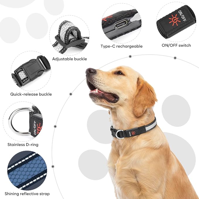 Weesiber Light Up Dog Collar, USB Rechargeable LED Dog Collar Glow in The Dark, Adjustable Reflective Waterproof Dog Collar Light for Night Walking (RGB, M) - Image 2