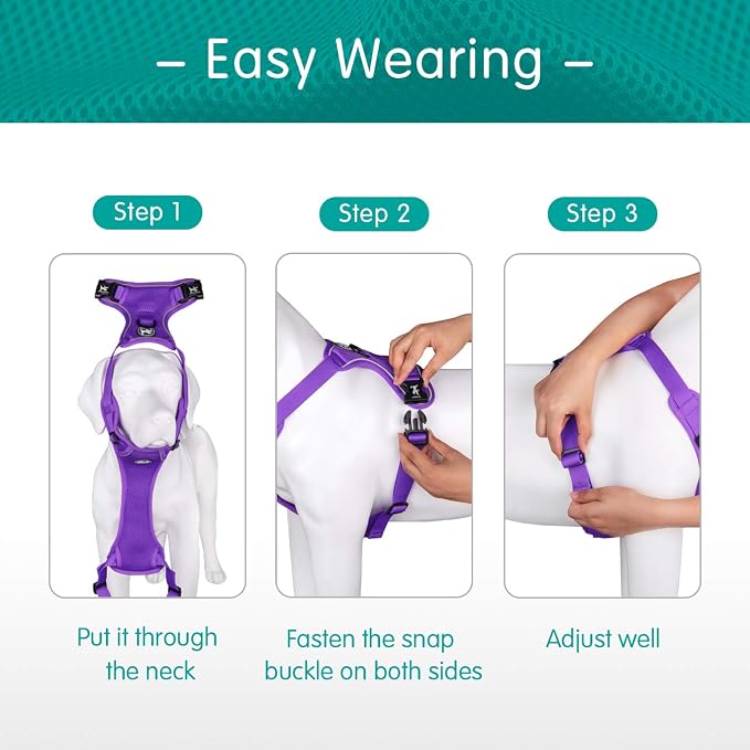 PoyPet Mesh Dog Harness, Reflective Breathable Puppy Vest for Small Dogs | Lightweight, Soft Air Mesh, Back D-ring, Adjustable, Comfortable, Double Padded, No Choke, for Daily Walking, S, Purple - Image 4