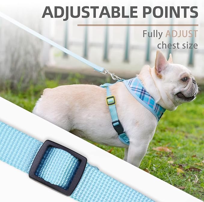 PUPTECK Small Dog Harness and Leash Set No Pull for XS XXS Sized Dogs Puppy | Escape Proof No Choke Pet Cat Adjustable Soft Padded Walking Vest - Image 3
