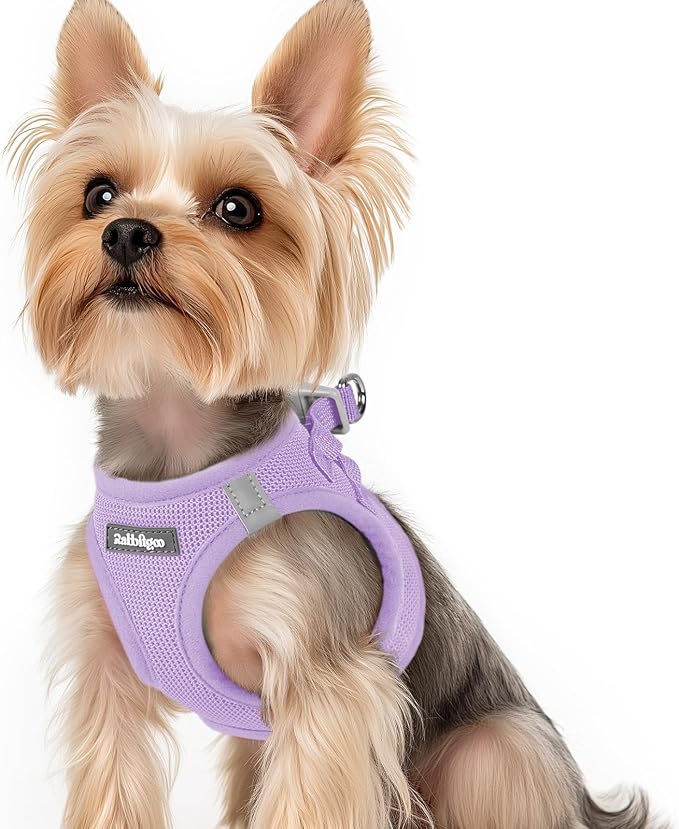 rabbitgoo Step-in Small Dog Harness, Puppy Vest for Small Sized Pet | Easy Put on and off, Lightweight, Soft, Breathable Quick-Dry Air Mesh for Comfortable Secure Walking, Light Purple XS by rabbitgoo
