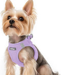 rabbitgoo Step-in Small Dog Harness, Puppy Vest for Small Sized Pet | Easy Put on and off, Lightweight, Soft, Breathable Quick-Dry Air Mesh for Comfortable Secure Walking, Light Purple XS by rabbitgoo