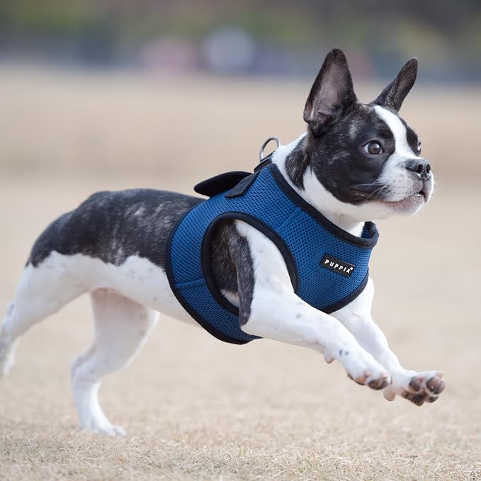 PUPPIA International Puppia Harness Soft B Vest Royal Blue XSmall - Image 4