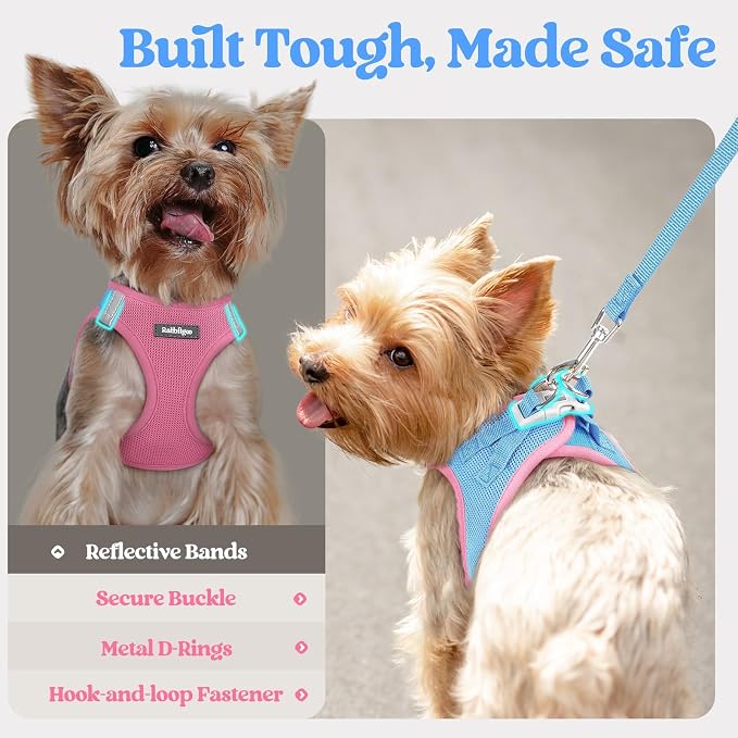 rabbitgoo Dog Harness Small Sized and Leash Set, Step-in Puppy Pet Vest | Light, Soft, Breathable Air Mesh, Easy on and Remove with Hook & Loop, Secure Reflective for Walking, Blue & Light Pink XXXS - Image 7