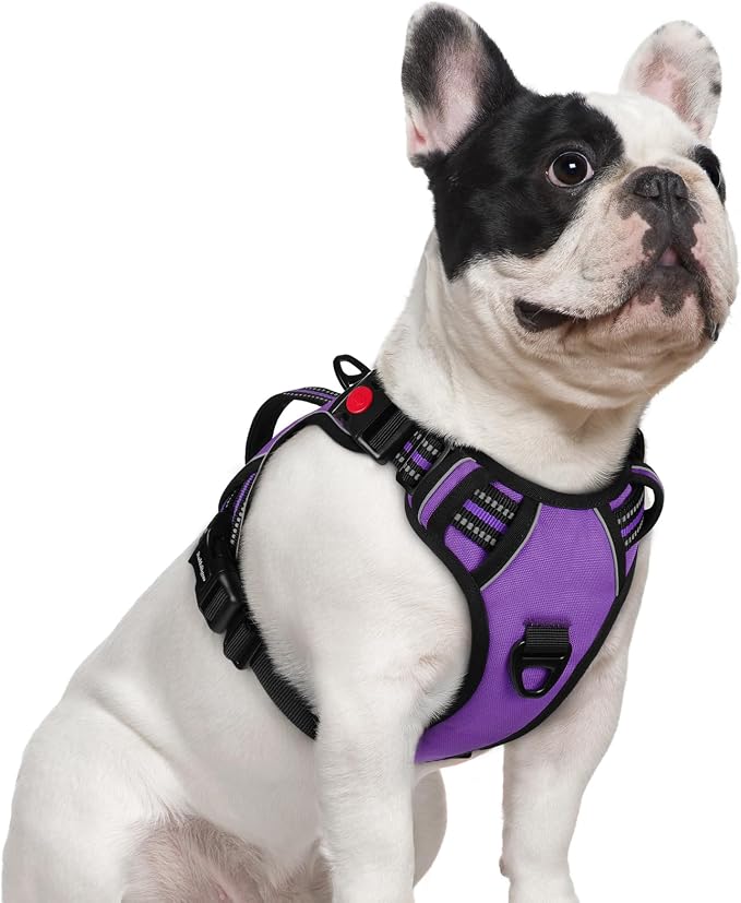 rabbitgoo Large Dog Harness, Easy Wear with 3 Buckles and Lift Handle | No Pull with Front Clip for Walking, Adjustable Soft Padded, Reflective, Easy Control, Purple, Small by rabbitgoo