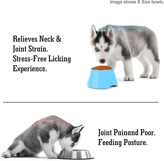 Dog Bowls,Cone Friendly Non Slip Single Dog Bowl with Stainless Steel Inner, Raised Bowls for Smll Dogs Spaniel Dogs Long Ear, High Capacity, S/1 Cup Aqua Blue - Image 5