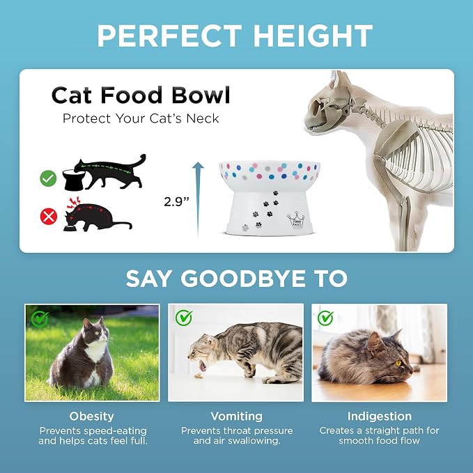 Necoichi Ceramic Raised Cat Food Bowl, 15° Tilted (Colorful Dots, Regular) - Image 4