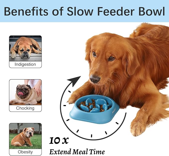MateeyLife 2-Pack Slow Feeder Dog Bowls, 2 Cups, Dog Puzzle Feeder Bowl | Food-contact safe, dishwasher safe, non-slip base, maze design, for fast eaters, for dogs and cats, daily mealtimes - Image 2
