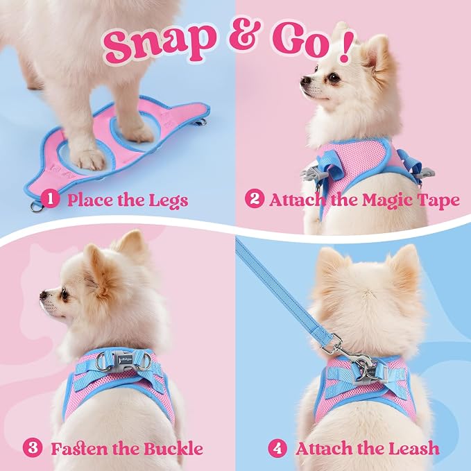 rabbitgoo Dog Harness Small Sized and Leash Set, Step in Soft Vest | Breathable Mesh, Easy Wear with Hook & Loop, Light and Reflective for Walking, Multi-colored, Pink & Blue, S - Image 2