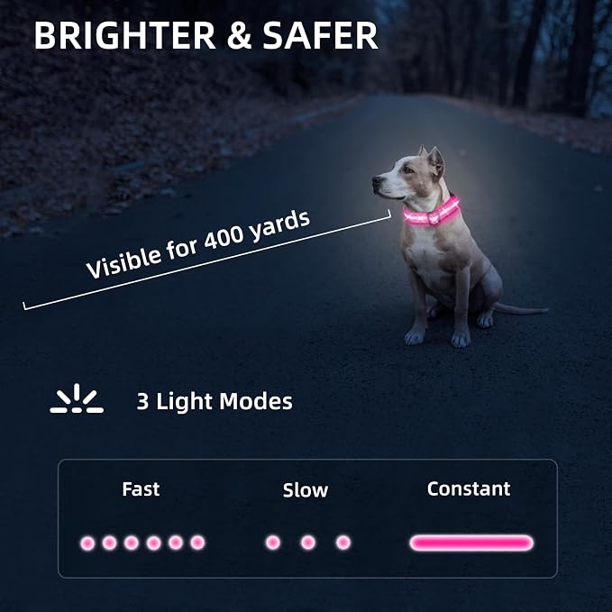 Super Bright LED Dog Collar, Waterproof Light up Collars(Pink, X-Small) | Lighted Dog Collar with Adjustable Fit, Soft Nylon Comfort, USB-C Rechargeable, Glow in the Dark Visibility for Night Walks - Image 6
