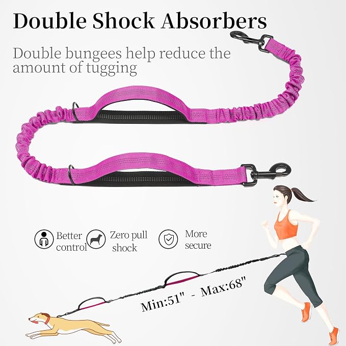 Hands Free Dog Leash with Zipper Pouch, Large, 25-120LB, Very Berry | Waist Leash, Dual Padded Handles, Shock-Absorbing Bungee, Adjustable Waist Belt, Walking and Running - Image 5