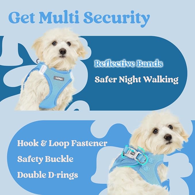 rabbitgoo Step-in Small Dog Harness, Puppy Vest for Small Medium Sized Pet | Easy Put on and off, Lightweight, Soft, Breathable Quick-Dry Air Mesh for Comfortable Secure Walking, Blue L - Image 8