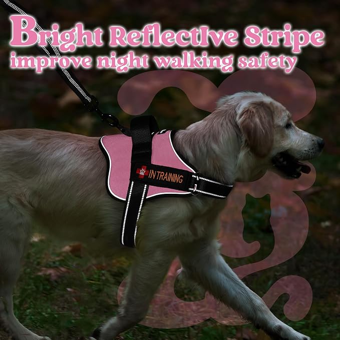 rabbitgoo No Pull No Choke Pet Vest, Adjustable Pet Harness with Molle | Large Sized Dog Harness, Reflective, Easy Wearing with One Buckle for Walking, Training, Pink, L - Image 9