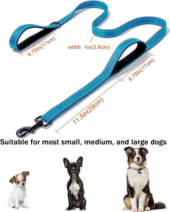 Solmoony 6FT Blue Strong Dog Leash with 2 Padded Handles, Traffic Handle Extra Control, Double-Sided Reflective Walking Lead for Small Medium and Large Dog (Blue, 6FT) - Image 5