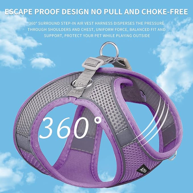 AIITLE Small Dog Harness and Leash Set, Step-in Puppy Pet Vest, Purple XS | Light, Soft, Breathable Air Mesh, Escape-Proof, Easy on and Remove with Hook & Loop, Secure Reflective for Walking - Image 9