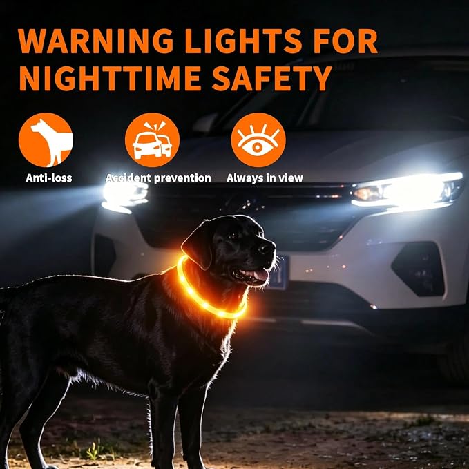 LaRoo LED Dog Collar, USB Rechargeable Flashing Light Dog Collar, Nighttime Safety, Cuttable Size for Small Medium Large Dogs, Makes Your Pet Visible in The Dark (Orange) - Image 3