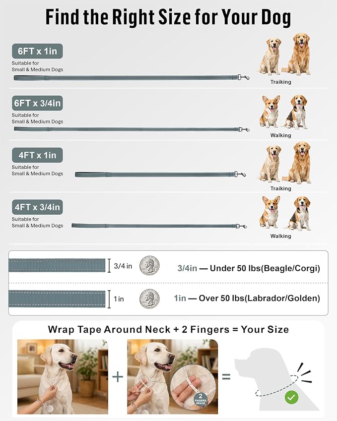 FunTags Reflective Nylon Dog Leash for Medium & Large Dogs, 6FT for Walks | Comfortable Padded Grip, Stay Safe at Night, 360° Anti-Tangle Swivel, for Dog Parks & Trails, Grey - Image 7