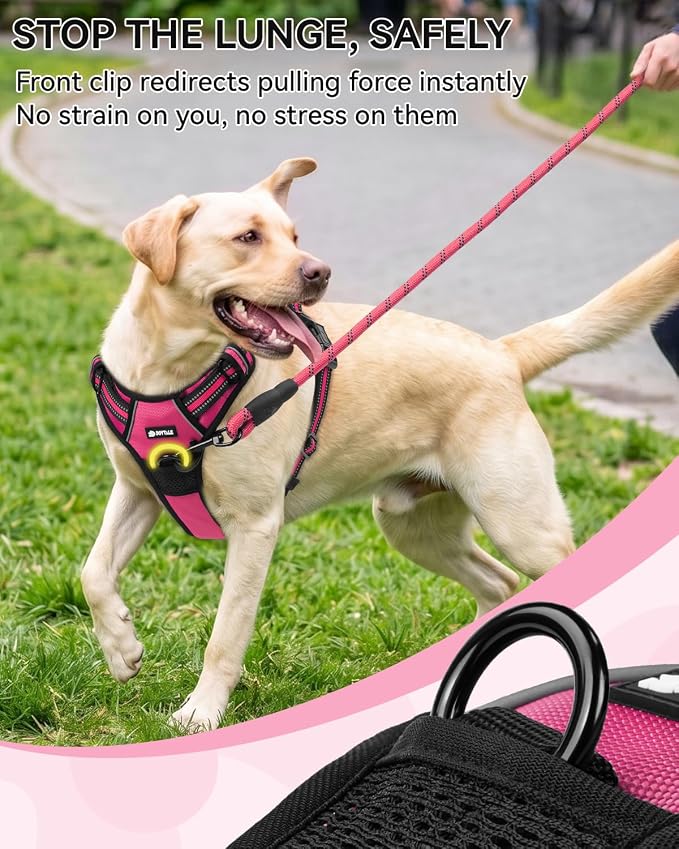 Joytale No Pull Dog Harness & Seat Belt, Easy On 3-Buckle, S, Hot Pink | Front Clip Reduces Pulling, Escape-Resistant Design, Adjustable Fit, Soft Padding for Comfort, Secure Tether for Safer Travel - Image 4