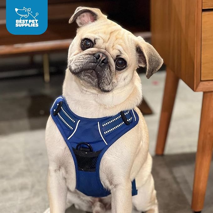 Voyager Dual Attachment No Pull Harness - Royal Blue, X-Small | 13 - 16" in Chest, No Pull Dog Harness, Fully Adjustable, 3M Reflective Technology, Front & Back D-Rings, Walking & Training - Image 11