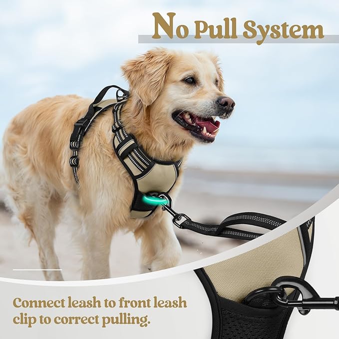 rabbitgoo Dog Harness, No Pull Medium Sized with 2 Leash Clips, Pet Vest | No Choke with Handle, Adjustable Soft Padded, Reflective, Easy Control for Walking, Beige, Medium - Image 5