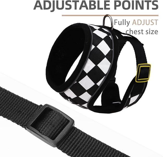 PUPTECK Small Dog Harness and Leash Set No Pull for XS XXS Sized Dogs Puppy | Escape Proof No Choke Pet Cat Adjustable Soft Padded Walking Vest - Image 3