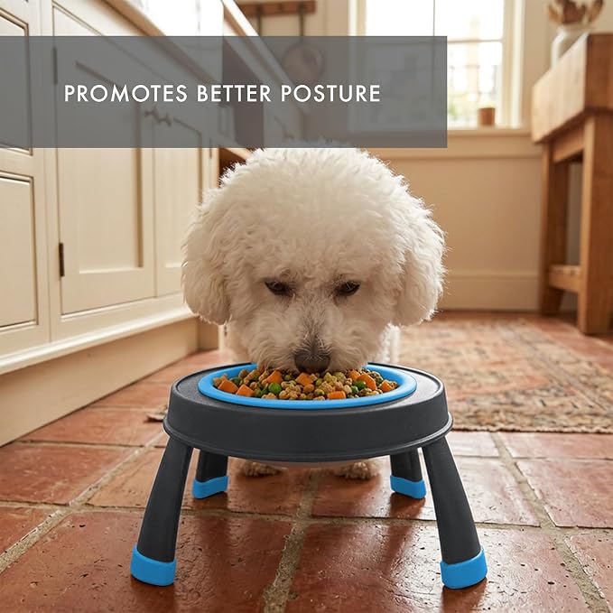 Dexas Pets Elevated Pet Feeder, Small, 1.5 Cup Capacity, Blue, Raised Pet Food and Water Bowl - Image 7