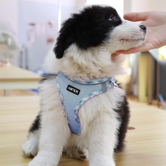 AMTOR Small Dog Harness with Leash Set, No Escape Easy Walk Puppy Harnesses for Training Walking, Step-in Reflective Soft Dogs Vest for XS S Medium Extra-Small Large Sized Dog(Blue/White,S) - Image 4