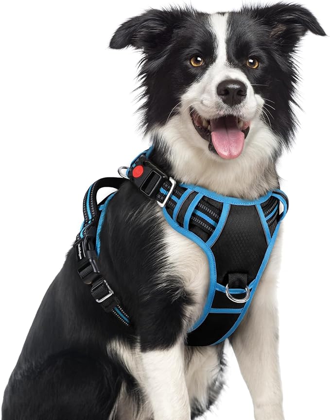 rabbitgoo Dog Harness Medium Sized, No Pull 3 Buckles Easy On & Off | Soft Padded, Walking with Control Handle, Adjustable and Reflective, Black & Blue, Medium by rabbitgoo