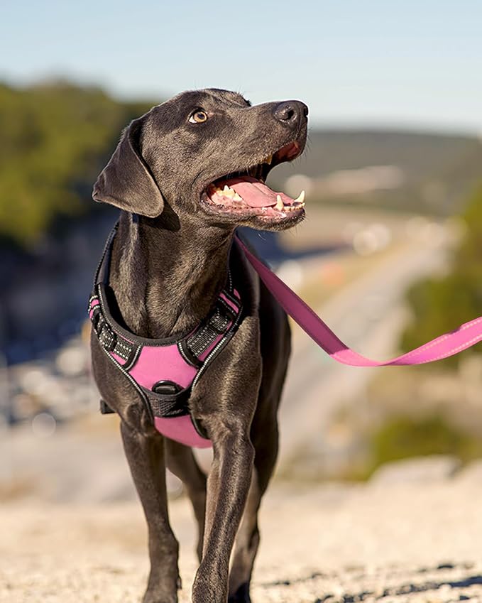 Joytale No Pull Dog Harness Medium Sized Dog, Front Clip, Pink | Grab Handle for Instant Control, Padded & Adjustable Vest, Sturdy Metal D-Rings, for Safe Training & Daily Walking - Image 6