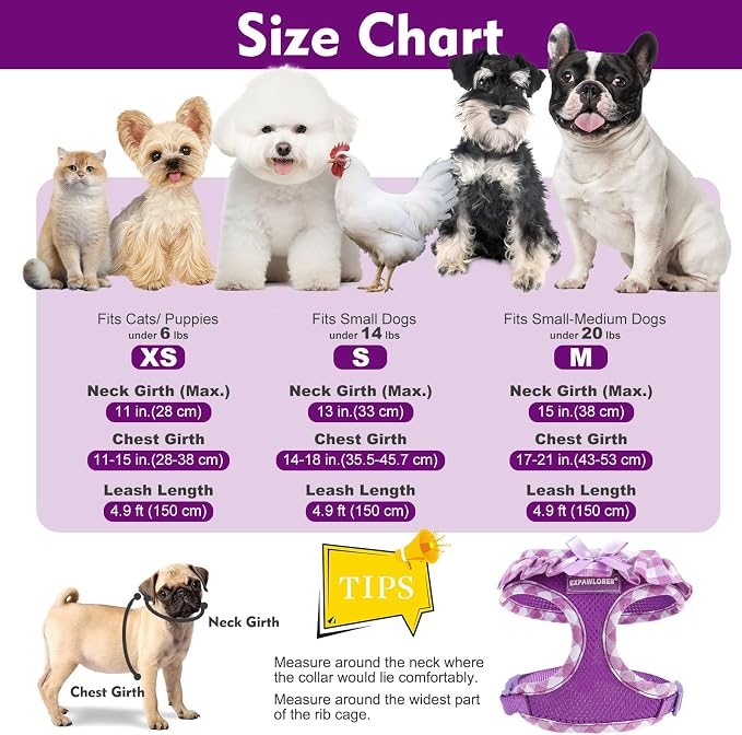 EXPAWLORER Step-in Dog Harness Small Sized and Leash Set | Cute Small Dog Harness No Pull Girl, Breathable Soft Mesh Padded, Adjustable Light Puppy Vest for Dogs Cats, Purple XS - Image 4