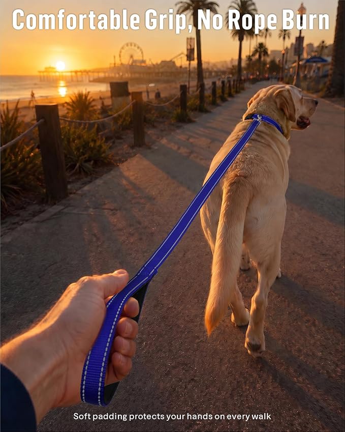 FunTags Reflective Nylon Dog Leash for Medium & Large Dogs, 6FT for Walks | Comfortable Padded Grip, Stay Safe at Night, 360° Anti-Tangle Swivel, for Dog Parks & Trails, Royal Blue - Image 2