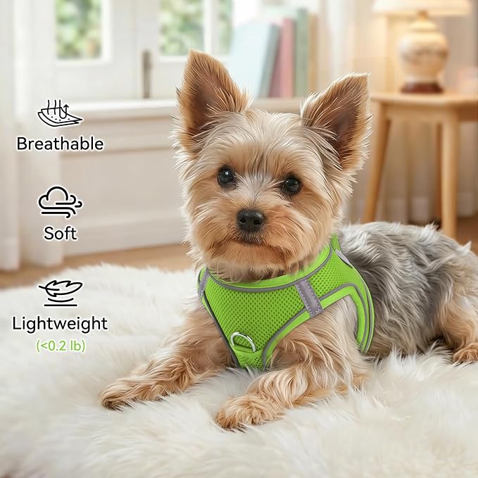 Joytale Step-in Dog Harness, Soft Breathable Mesh, Green XS | Adjustable Fit for Small Dogs, Easy Step-in with Secure Fastener, Even Chest Pressure, Reflective For Night Safety, Washable - Image 4
