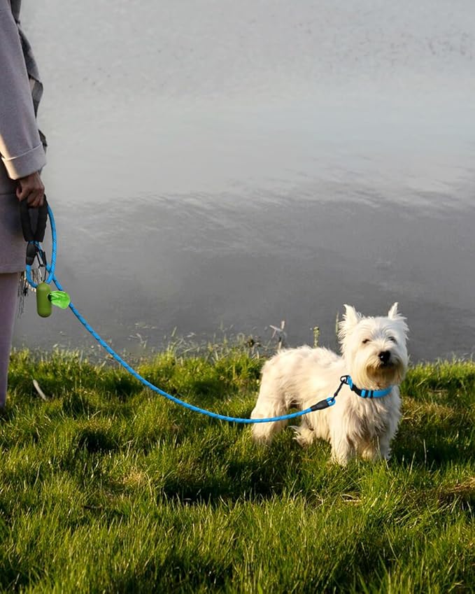 Dynmeow Reflective Dog Collar and Leash Set for Puppy Small Dogs, Blue | Soft Neoprene Padded, 6FT Climbing Rope, Ideal for Daily Outdoor Walking or Indoor Wearing, Night Visible for Safety - Image 5