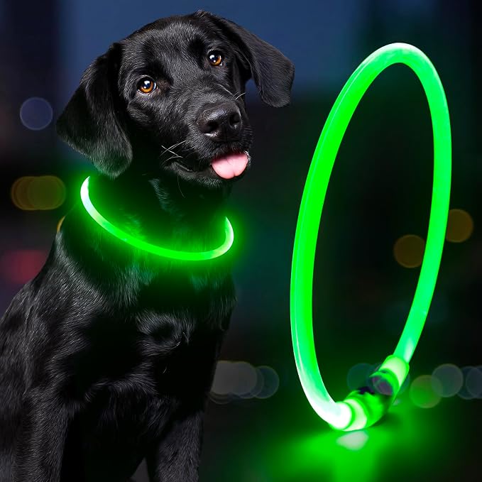 Led Dog Collar - Waterproof Lighted Pet Collar Rechargeable for Night, TPU Cuttable Light Up Doggie Collar for Small, Medium, Large Dogs Walking (Green) by Domagiker