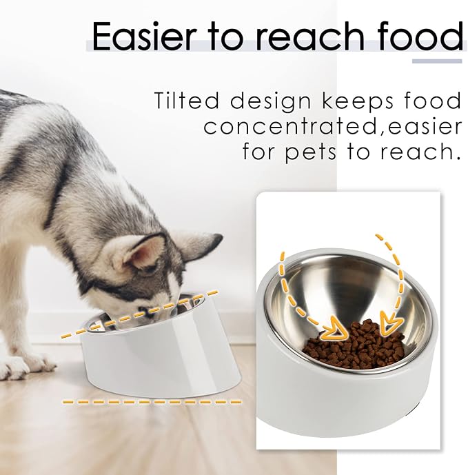 SUPERDESIGN Anti-Vomiting 15° Slanted Pet Bowl, S/0.5 Cup, Gray | 15° Tilted, Anti-Vomit & Neck Relief, Non-Slip Base, Detachable Stainless Steel Liner, Dishwasher Safe, for Cats & Dogs - Image 2