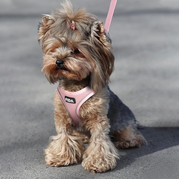 Fida Cat Harness and Leash Set for Walking Kitten and Puppy, Escape Proof Kitten Harness with Breathable Lightweight Soft Mesh, Adjustable Reflective Step-in Design. (XXXS, Pink) - Image 6