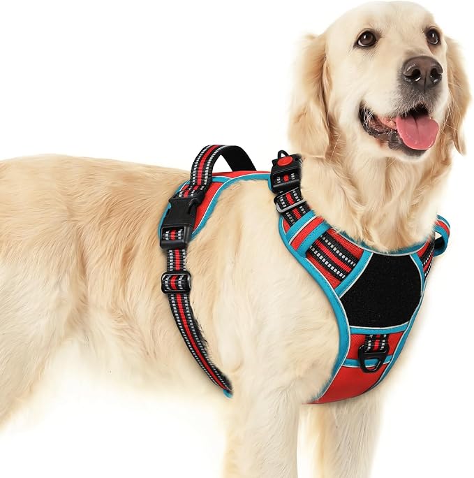 Eagloo Dog Harness No Pull for Large Dogs, Easy On & Off with 3 Buckles | No Choke with Front Clip, Adjustable Fit, MOLLE System, Reflective Vest, Easy Control for Walking, Red & Teal, Large by GoExplorewithEagloo