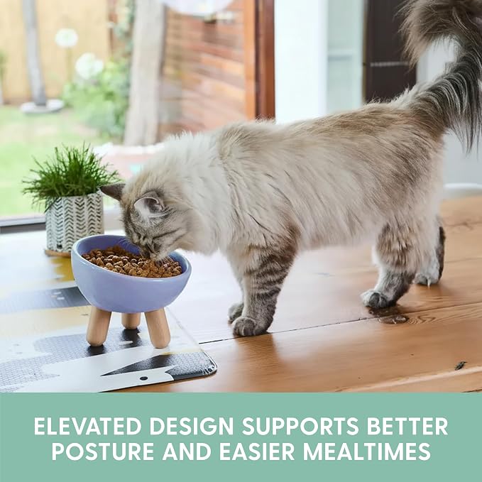 The Cat Ladies Tilted Ceramic Cat Bowl - Elevated Food Bowls Ceramic Pet Bowl - Raised Ceramics Bowls - Elevated & Tilted Design for Comfortable Eating - Dishwasher Safe - Wide Opening - Image 2