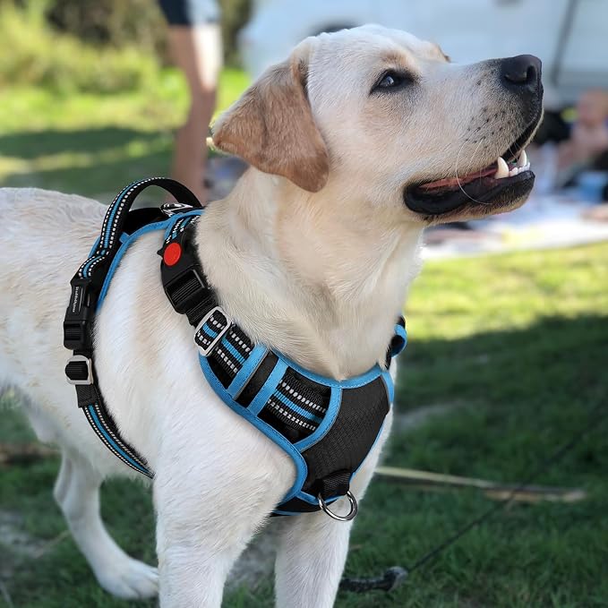 rabbitgoo Dog Harness for Large, No Pull 3 Buckles Easy On & Off | Soft Padded, Walking with Control Handle, Adjustable and Reflective, Black & Blue, Large - Image 8