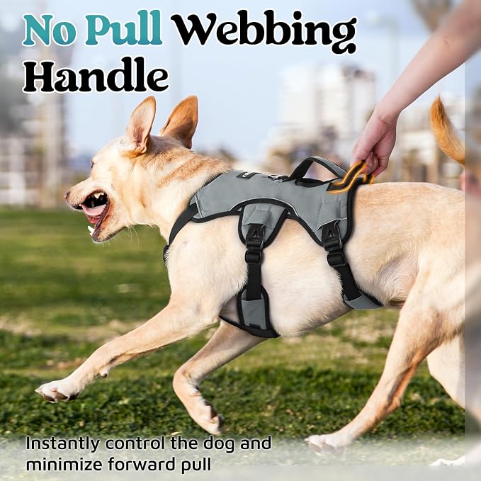 rabbitgoo Escape Proof Dog Harness for X-Large, No Pull with Lift Handle | No Escape, Full Soft Padded, Reflective Adjustable Vest, Leash Clip for Walking Hiking Training, Grey, X-Large - Image 4