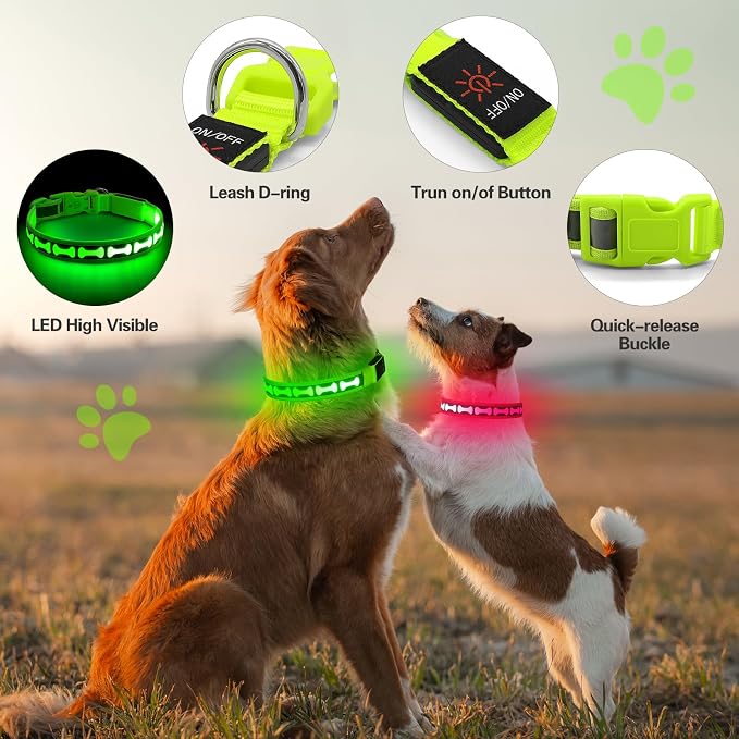 Flashseen LED Dog Collar Light Up USB-C Rechargeable (Green, Medium) | Glow in the Dark Collar for Night Walking, Adjustable Waterproof Visibility Glowing Collars for Dogs - Image 3