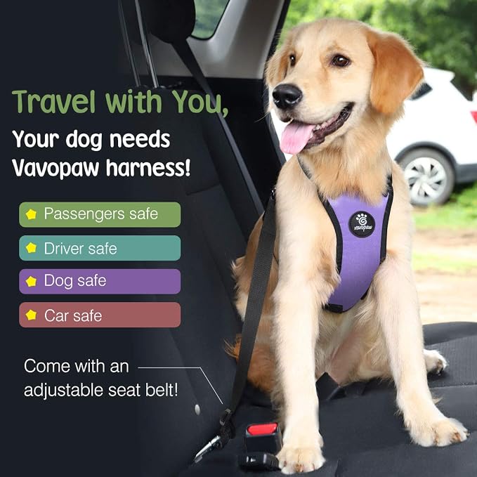 VavoPaw Dog Seat Belt Vest Harness for Car, 2 in 1 Seatbelt Buckle | Soft Breathable Mesh, Adjustable Buckle, Nylon, Heavy Duty Pet Safety Seat Belts for Small Medium Large Pets, Purple, L - Image 2