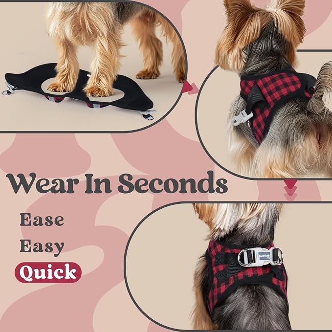 rabbitgoo Step-in Small Dog Harness, Puppy Vest for Small Sized Pet | Easy Put on and off, Lightweight, Soft, Breathable Quick-Dry Air Mesh for Comfortable Secure Walking, Red Check M - Image 5